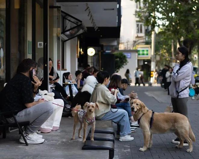 了双11爱上了“老年严选”凯发k8这届脆皮年轻人抛弃(图13)